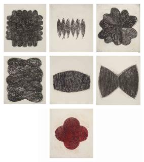 Zarina Hashmi - The House at Aligarh