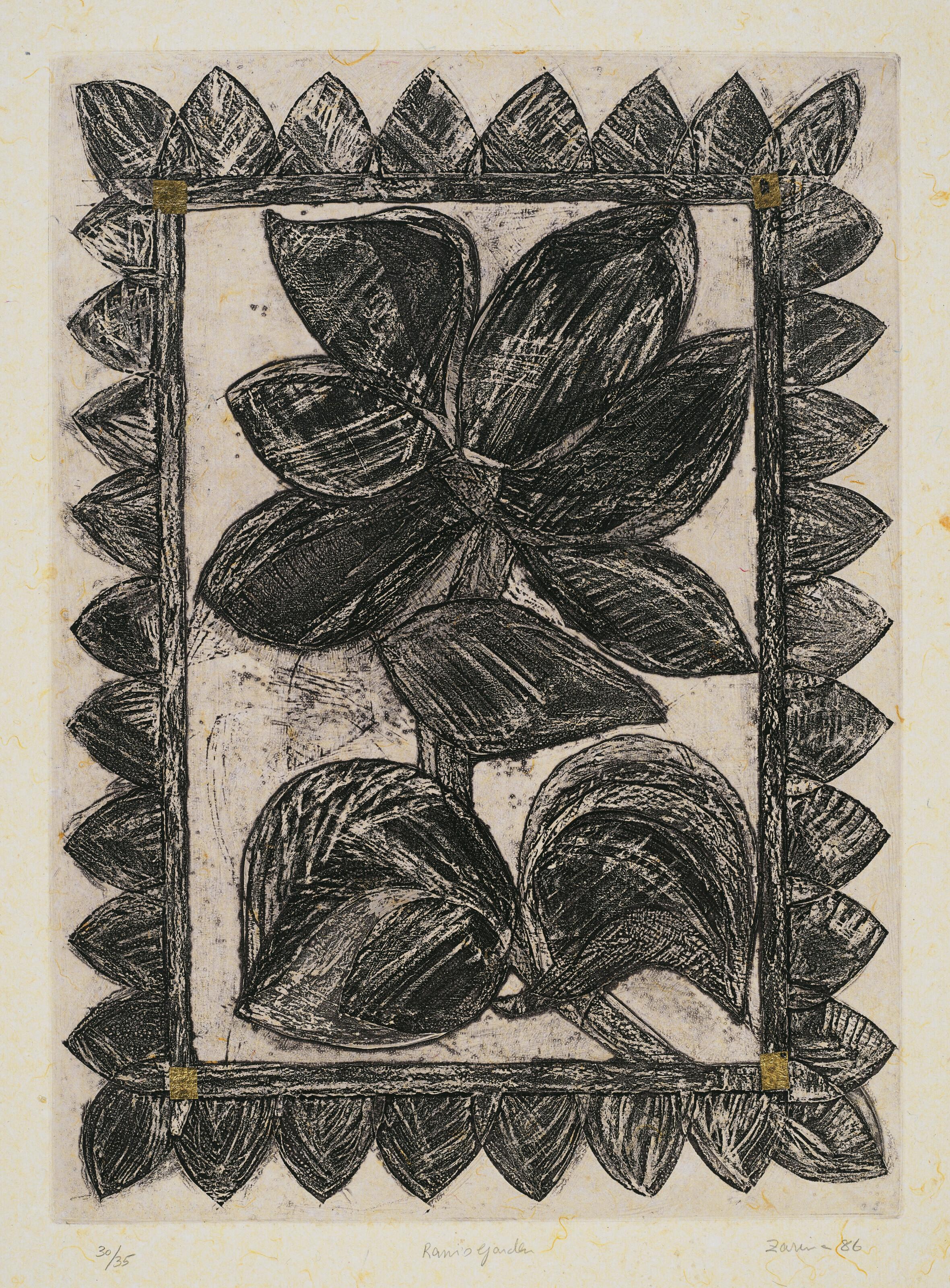 Zarina - Rani\'s Garden