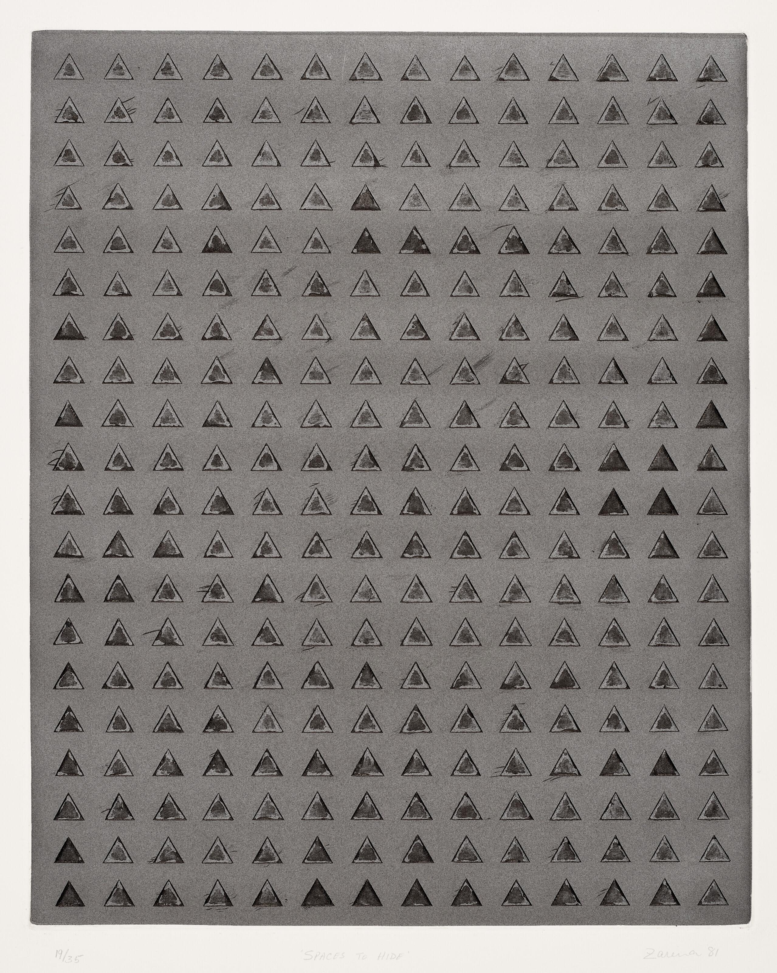 Zarina - Spaces to Hide