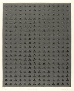 Zarina - Spaces To Hide