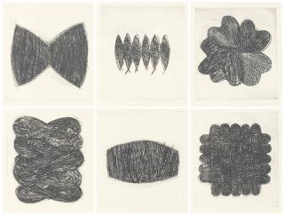 Zarina - The House at Aligarh