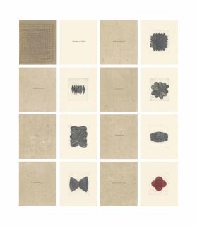 Zarina - The House at Aligarh