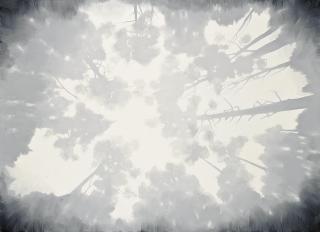 Zbigniew Rogalski - Death of Partisan 1