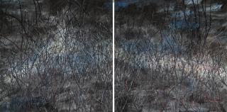 Zeng Fanzhi - This Land So Rich In Beauty No. 6 (Diptych)