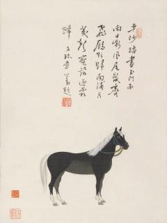 Zeng Qi - Horse