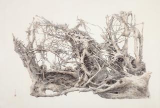 Zeng Xiaojun - Wild Spirit Screen No. 2