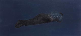 Zhai Liang - SILENCE HITS ON THE MOUTH GROWING MORE SILENCE