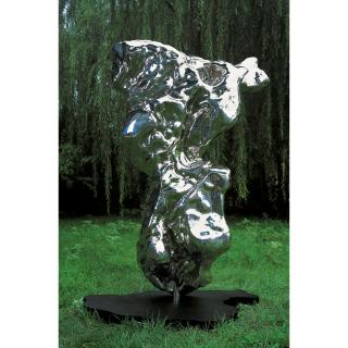 Zhan Wang - Artificial Rock Series #29  