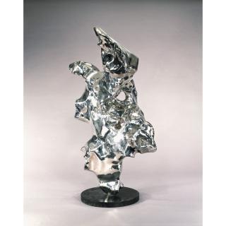 Zhan Wang - Artificial Rock Series