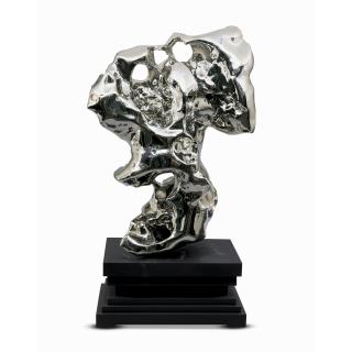 Zhan Wang - Artificial Rock Series