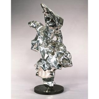 Zhan Wang - Artificial Rock Series