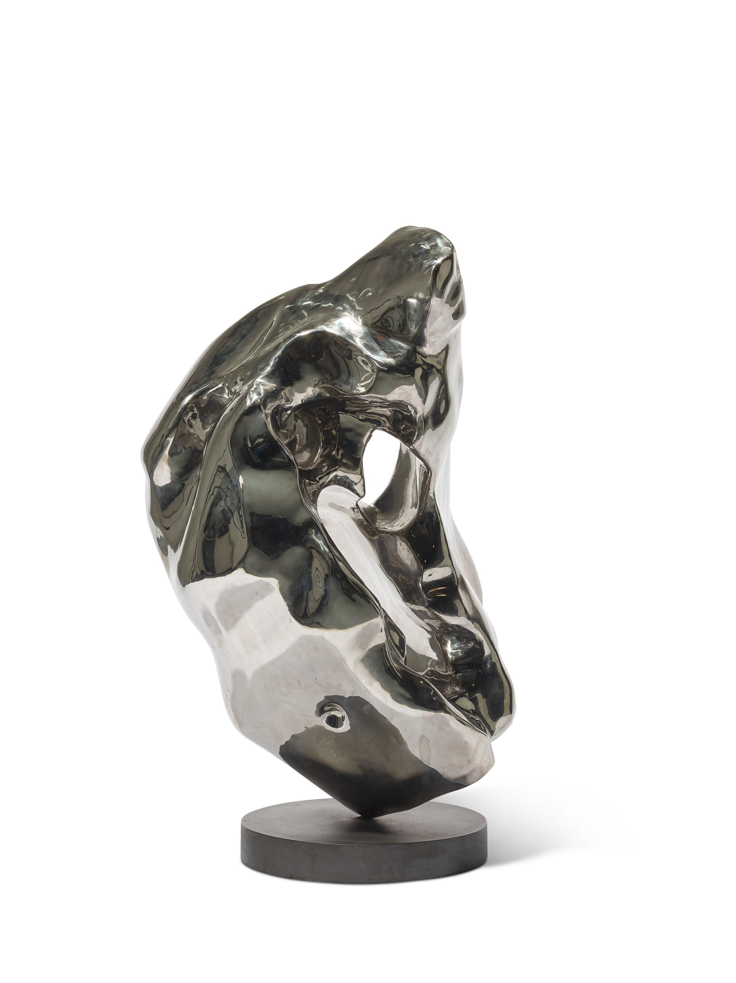 Zhan Wang - Artificial rock