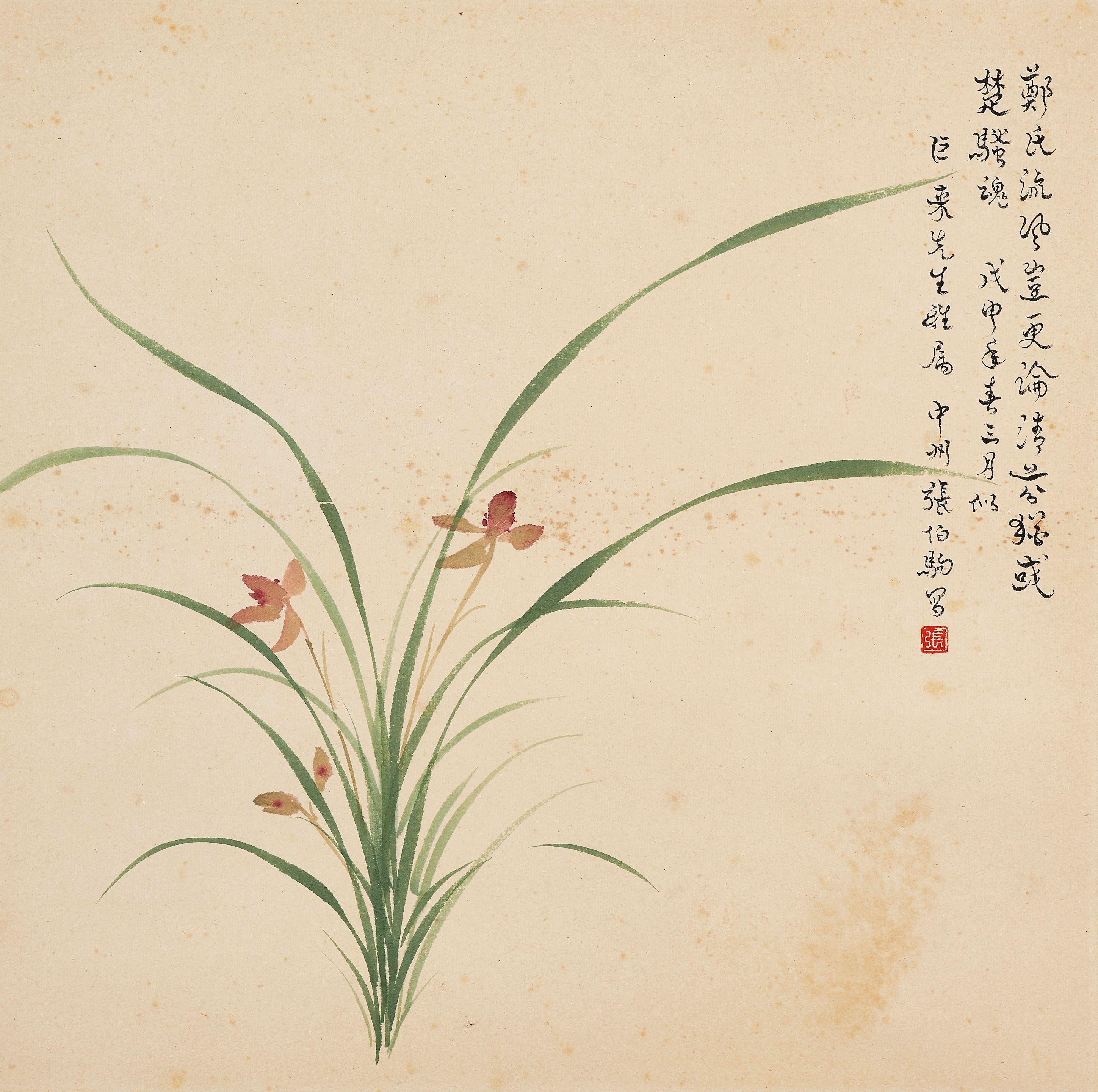 Zhang Boju - Orchid