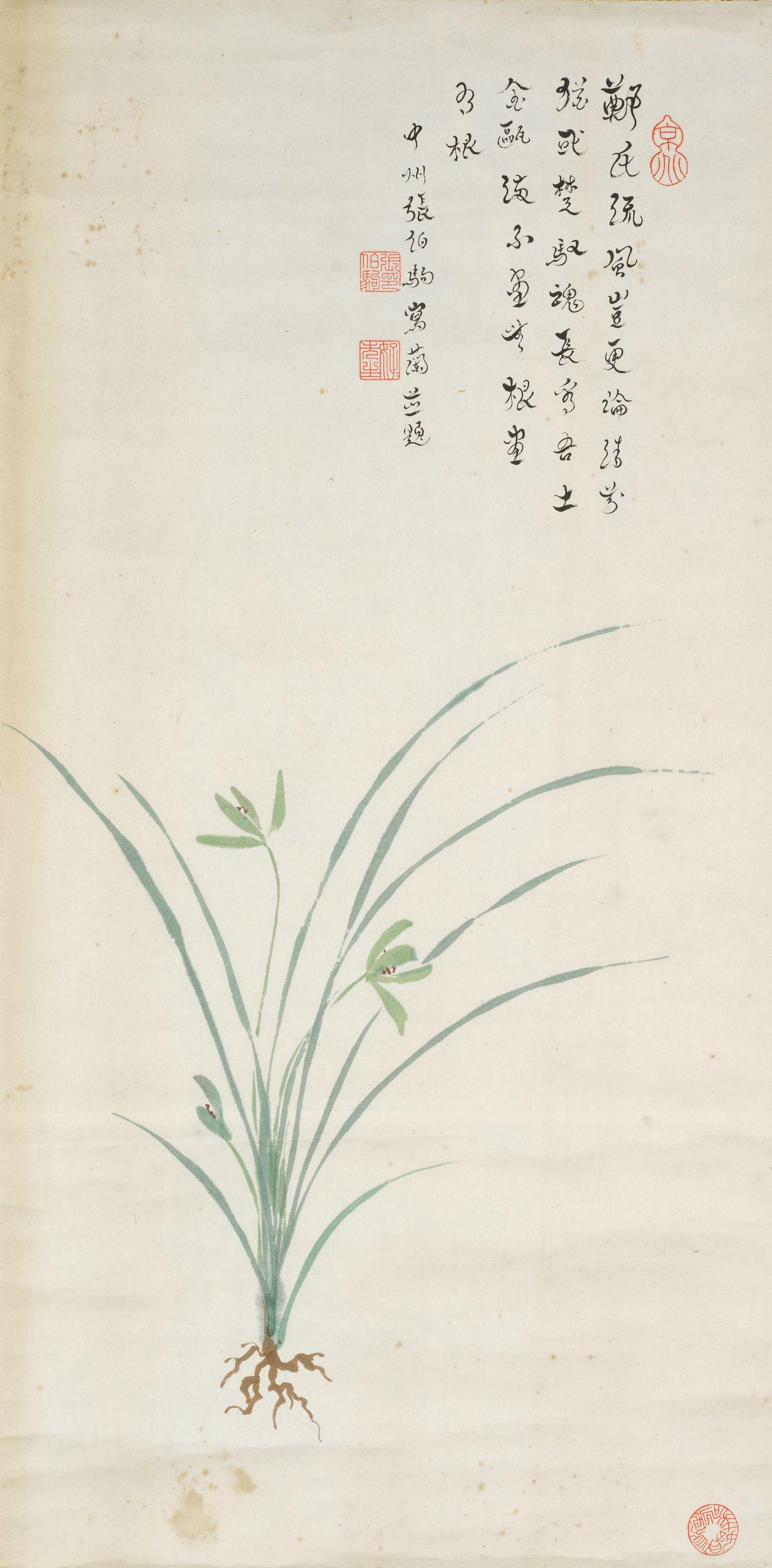 Zhang Boju - Orchids