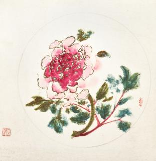 Zhang Chonghe - Peony