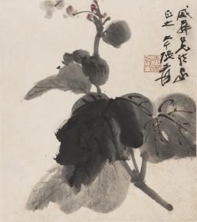 Zhang Daqian - Begonias