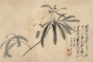 Zhang Daqian - Magnolias