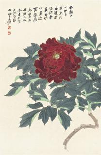 Zhang Daqian - Vermilion Peony