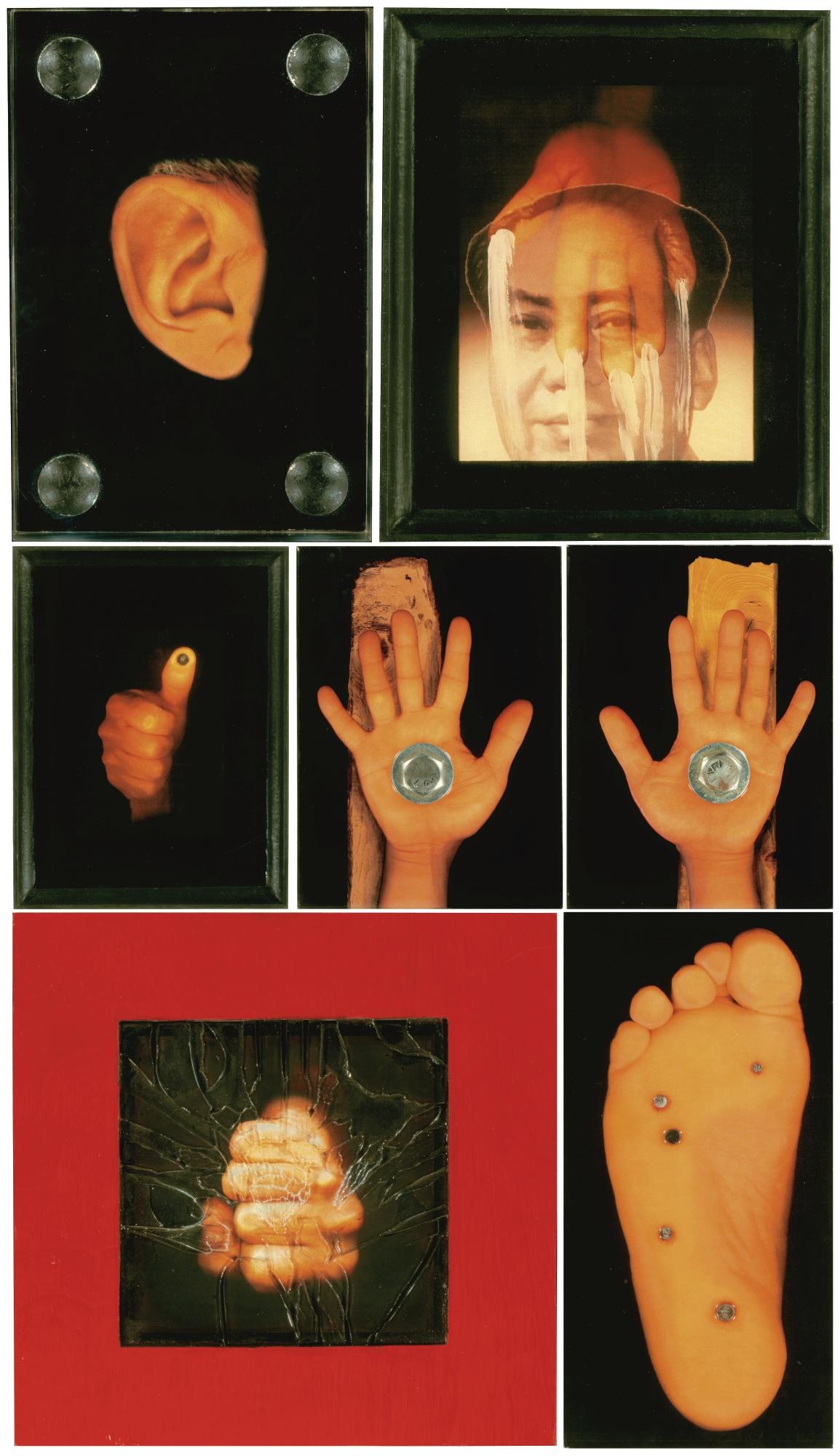 Zhang Hongtu - The Parts Of My Body (Set Of Seven)