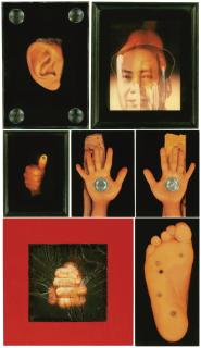 Zhang Hongtu - The Parts Of My Body (Set Of Seven)