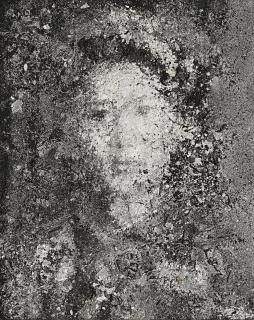 Zhang Huan - Flower No. 5