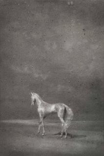 Zhang Huan - Horse No. 2