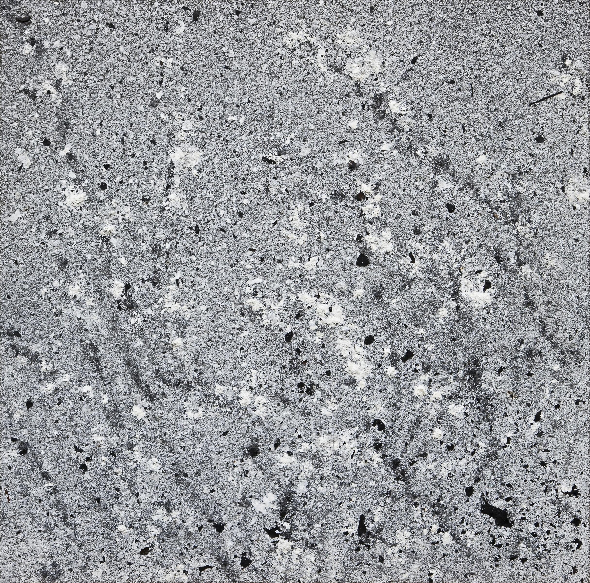 Zhang Huan - Winter Plum Blossom