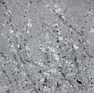 Zhang Huan - Winter Plum Blossom