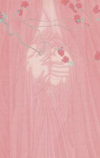 Zhang Jian - Reflection of Moon