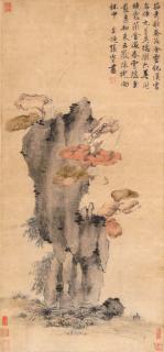 Zhang Ling - Lingzhi And Rock