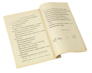 Zhang Peili - Artistic Project No. 2