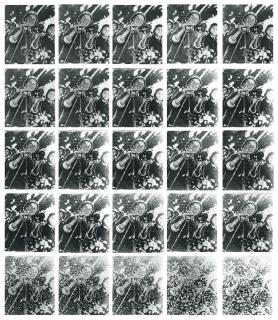 Zhang Peili - Continuous Reproduction