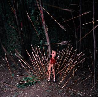 Zhang Peng - Yi Fan No.1