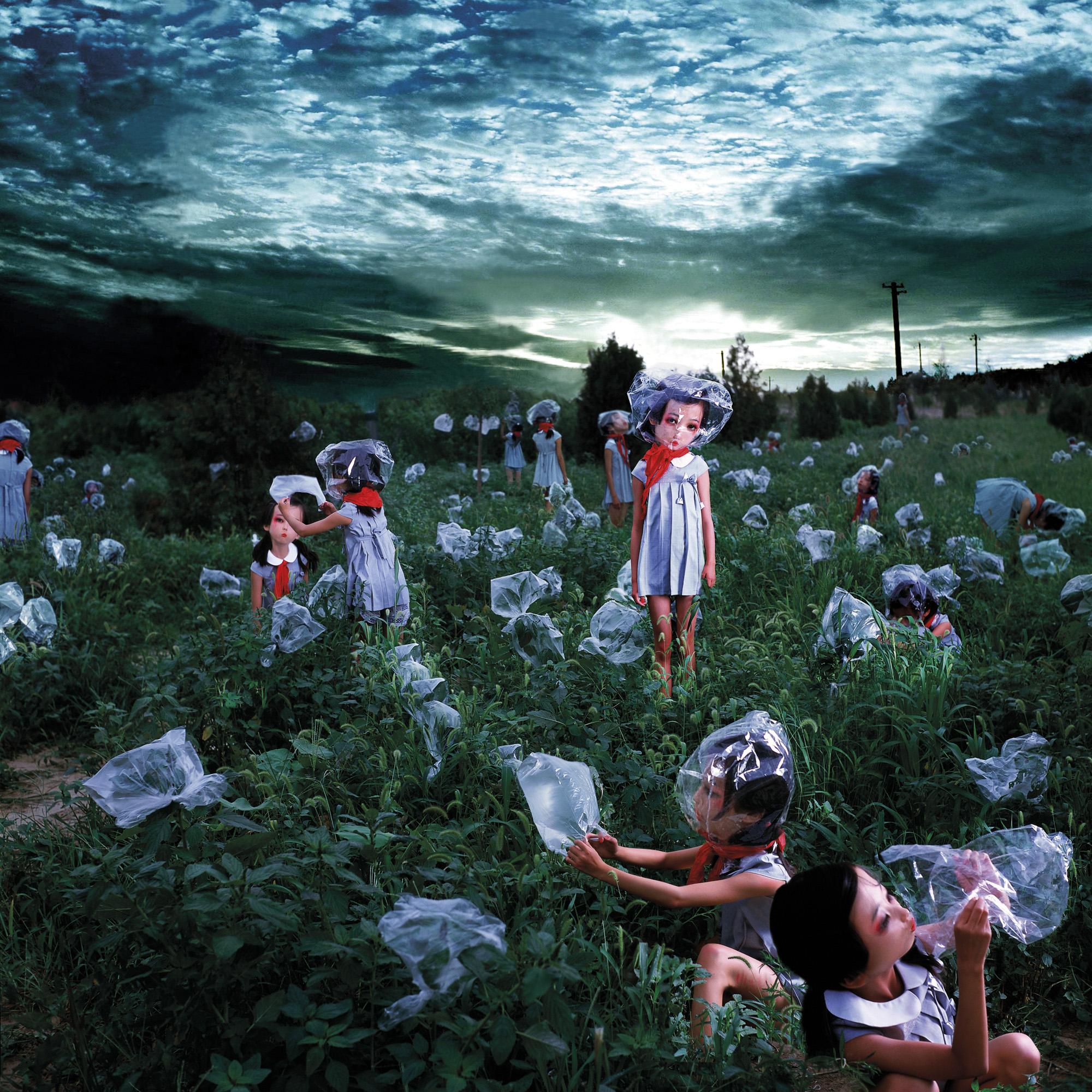 Zhang Peng - Yi Fan No. 2