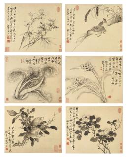 Zhang Ruo\'Ai - Flowers and Birds