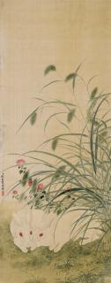 Zhang Ruo\'Ai - Rabbits