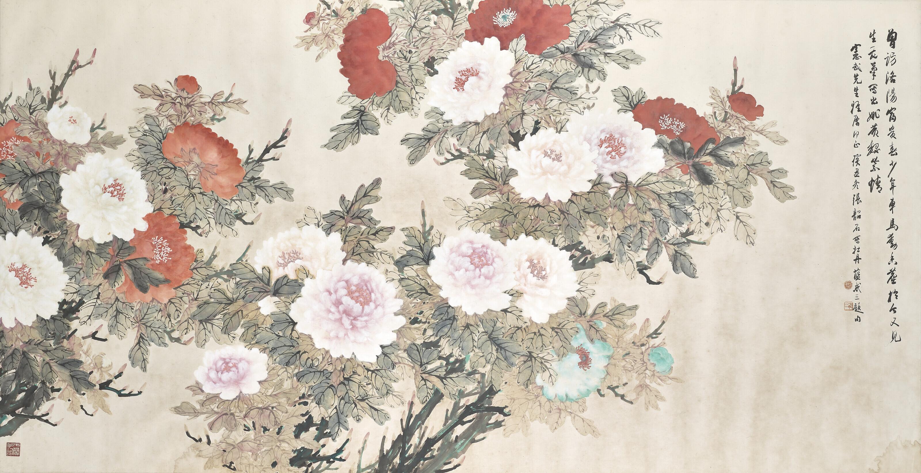 Zhang Shaoshi - Peonies