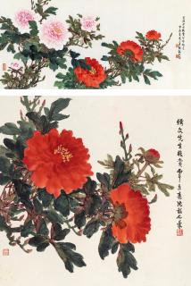 Zhang Shaoshi - Peony