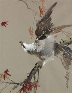 Zhang Shuqi - Eagle