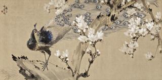 Zhang Shuqi - Magnolia And Peacock
