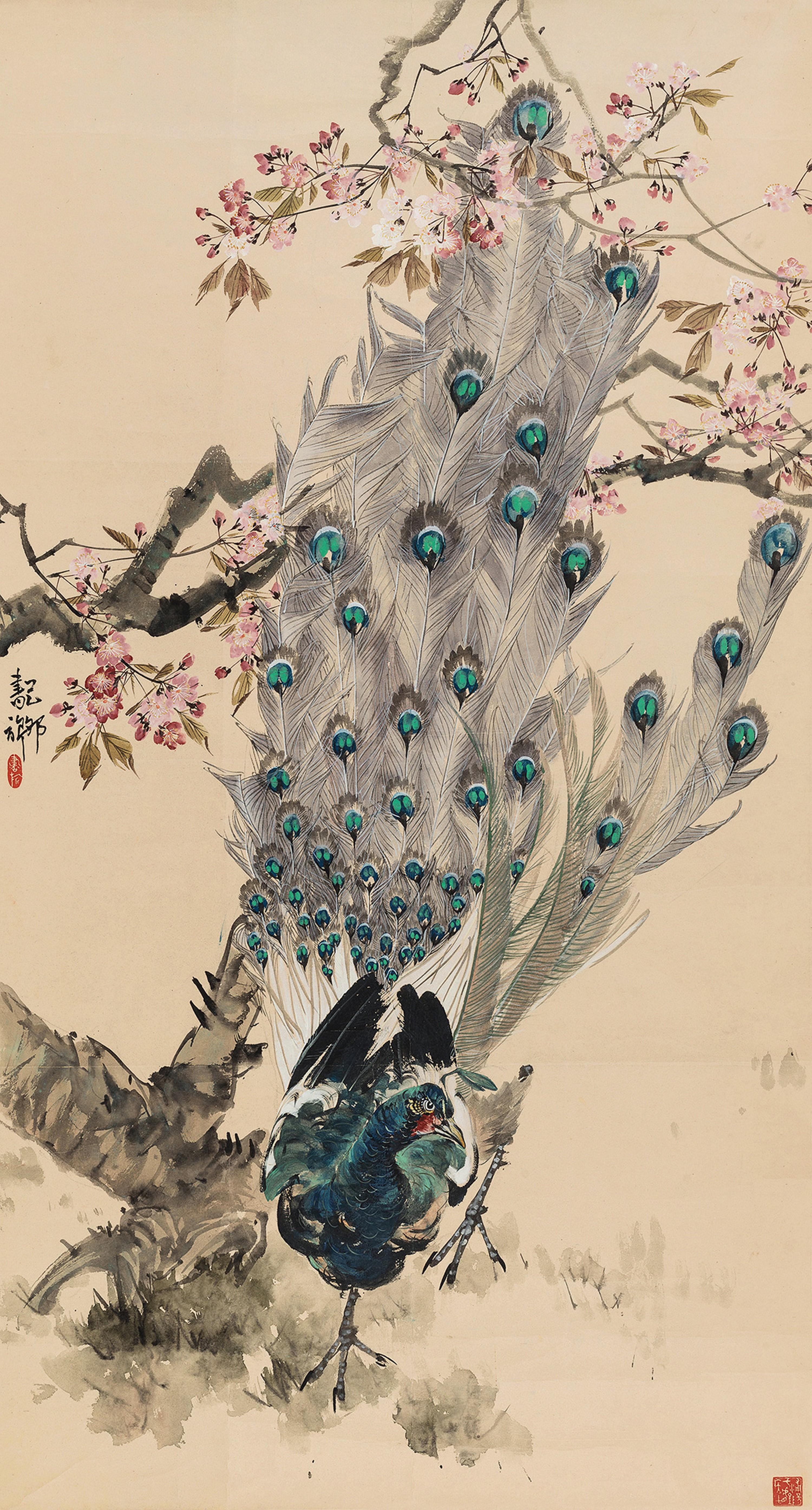 Zhang Shuqi - Peacock