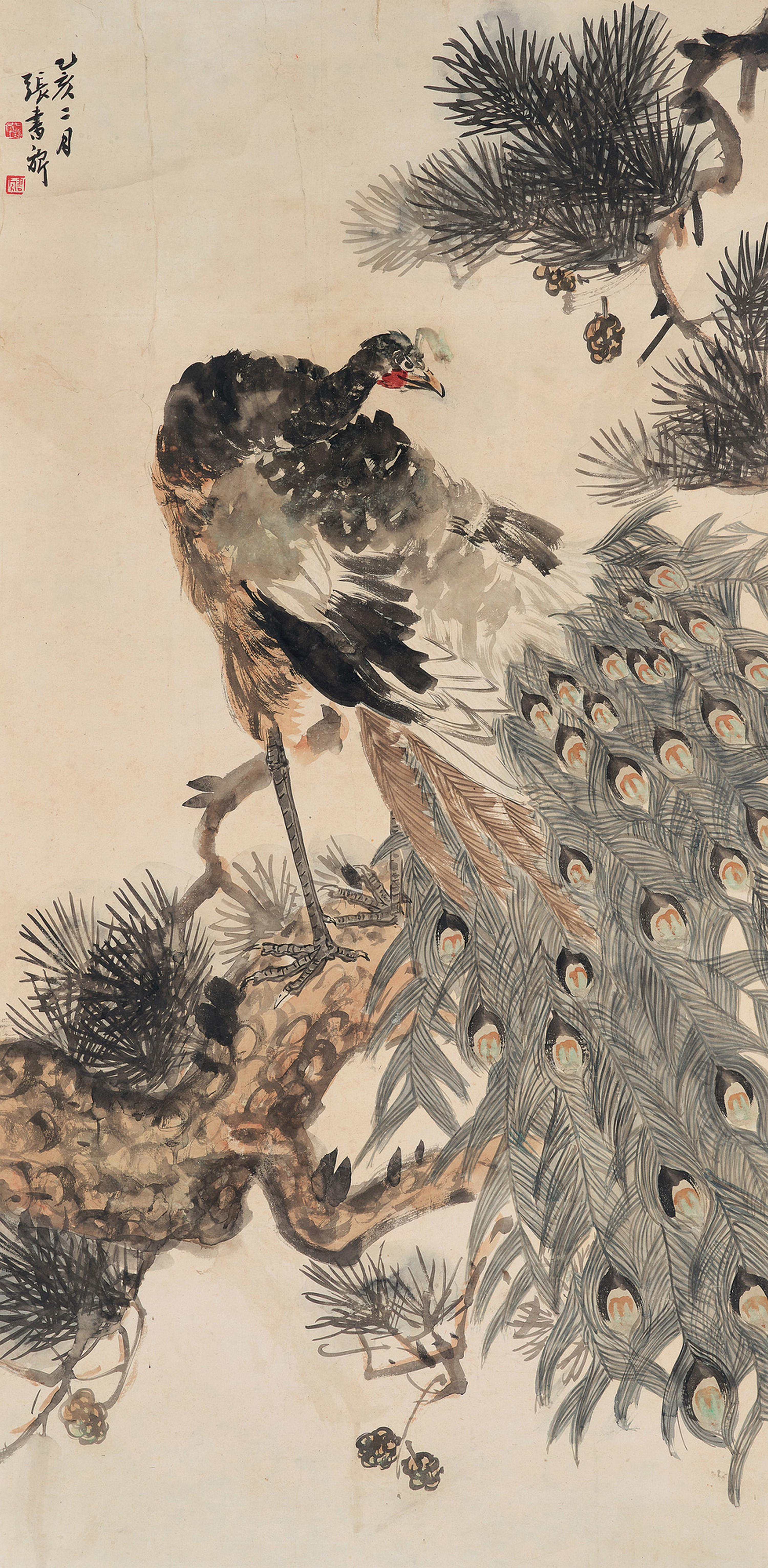 Zhang Shuqi - Peacock