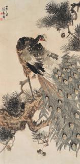 Zhang Shuqi - Peacock