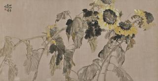 Zhang Shuqi - Sunflowers