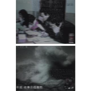 Zhang Xiaogang - Memory (A Pair)