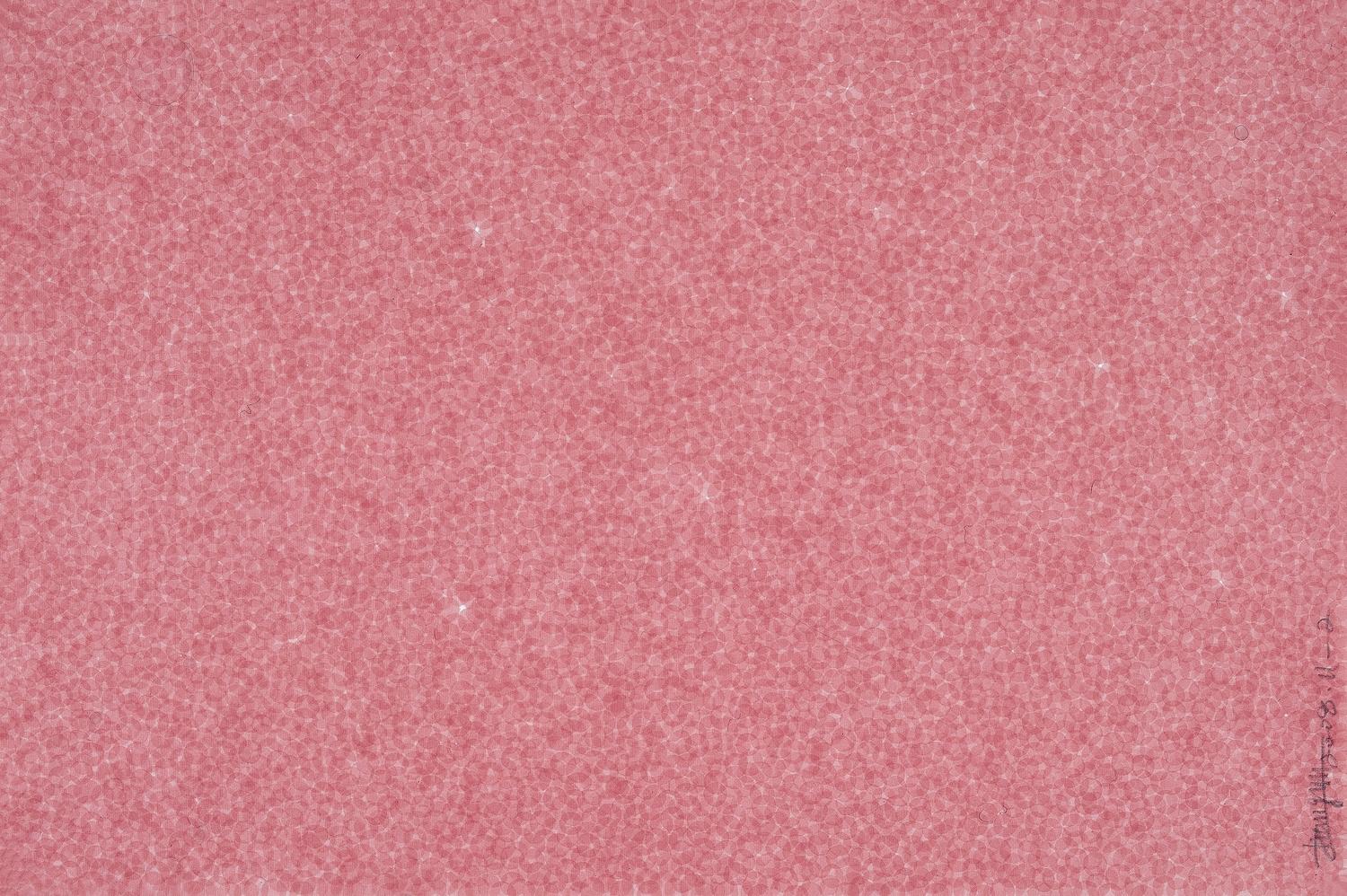 Zhang Yu - Fingerprints 2008.11-2