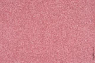 Zhang Yu - Fingerprints 2008.11-2