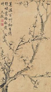 Zhang Zhao - Plum Blossoms