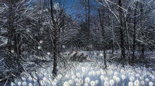 Zhao Bo - The Desire Of Forest No. 2