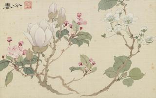 Zhao Haogong - Study of Flowers